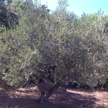 Panzió La Bastide De Brun